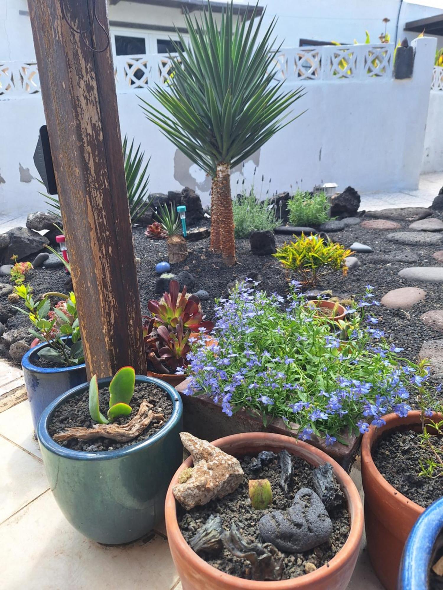 Casita Pequena Lanzarote Villa Teguise  Dış mekan fotoğraf
